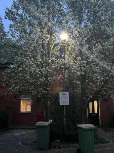 a tree with flowers in front of a building at Quaint and Serene Single room in London