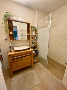 La salle de bains est pourvue d'un lavabo et d'une douche. dans l'établissement Le paisible, à Décines-Charpieu