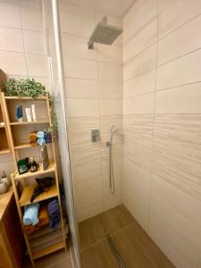 La salle de bains est pourvue d'une douche avec une porte en verre. dans l'établissement Le paisible, à Décines-Charpieu