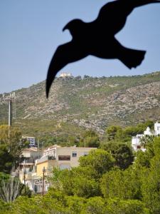 una silueta de un murciélago volando sobre una ciudad en Los Caballos, en Alcossebre