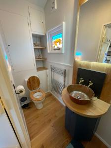 a bathroom with a sink and a toilet in it at The Grove Glamping in Cromer