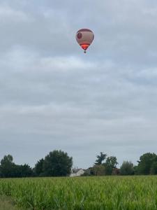 um balão de ar quente voando no céu sobre um campo em Maison les palmiers em La Bohalle