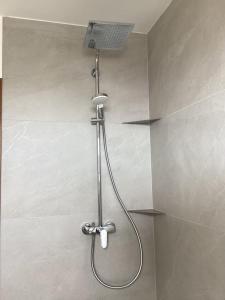 een douche met een douchekop in een badkamer bij Haus Hunsrückhöhe in Schauren +33 foto's