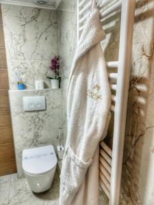 Psimithefto Luxury Apartments في سلانيك: حمام مع ستارة دش ومرحاض