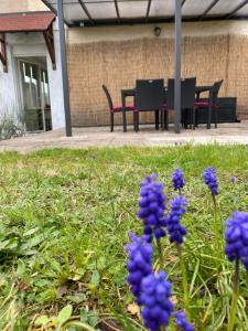 Une bande de fleurs violettes dans une cour avec une table dans l'établissement Le Refuge de l'Ours, à Baerenthal