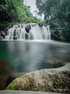 a waterfall in the middle of a body of water at Pozas Guacimo in Guápiles