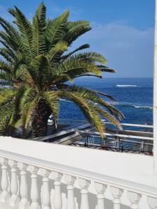 a palm tree on a balcony overlooking the ocean at Casa Antonico in Garachico