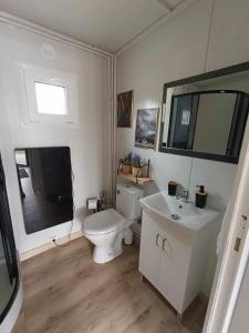 a bathroom with a toilet and a sink and a tv at Domki303 in Mszczonów