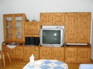 une télévision assise au-dessus d'un meuble en bois dans l'établissement Appartement in Schelingen mit Garten und Grill, à Schelingen