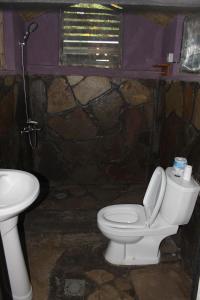 a bathroom with a toilet and a sink at Red Rocks Rwanda - Bamboo Cottage in Nyakinama