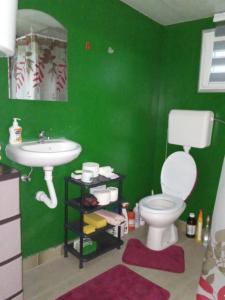 La salle de bains verte est pourvue de toilettes et d'un lavabo. dans l'établissement Apartman i Krčma u Planini, à Bojnik