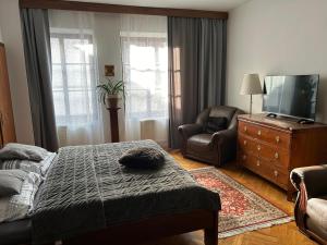 TV a/nebo společenská místnost v ubytování Apartments Dlouhá 93