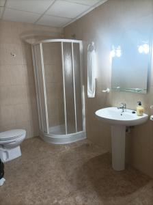 La salle de bains est pourvue d'une douche, d'un lavabo et de toilettes. dans l'établissement PENSIÓN CARLOS III, à Tomelloso