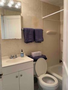 La petite salle de bains est pourvue de toilettes et d'un lavabo. dans l'établissement Cozy 4 bd house in Pitt, à Pittsburgh