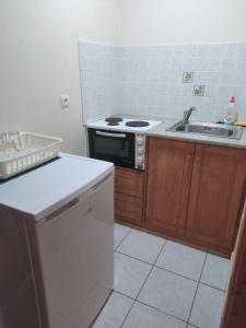 Kuchyň nebo kuchyňský kout v ubytování Aggelika Apartments