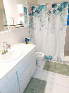 a bathroom with a sink and a toilet with a shower curtain at Beautiful 2-Bedroom Near Airport - Powell's Main Road, Antigua in Carlisle