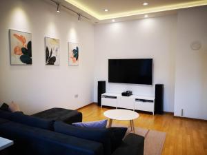 Il comprend un salon doté d'un canapé et d'une télévision à écran plat. dans l'établissement 2 Ljubljana Modern Villa Apartment, à Ljubljana