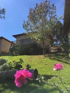 twee roze bloemen in een tuin met een huis bij Villa Uliana - Bangalôs VILLA in Domingos Martins