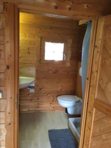 a bathroom with a toilet and a sink in a log cabin at Hike 'n Bike Base in Bad Kohlgrub