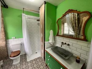 a green bathroom with a toilet and a sink at Habitación de 1870 in Santiago de Compostela