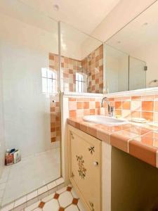 ein Bad mit einem Waschbecken und einer Dusche in der Unterkunft Villa Les Pariades : 8 Prs, 4 ch, Piscine, Vue mer in Vallauris