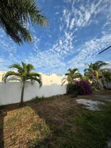 a yard with palm trees and a white wall at Comfort and Privacy in Mérida