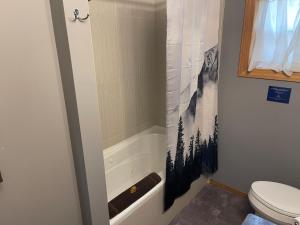 ein Bad mit einer Dusche, einem WC und einer Badewanne in der Unterkunft Blaeberry Valley Vacation Rentals in Golden