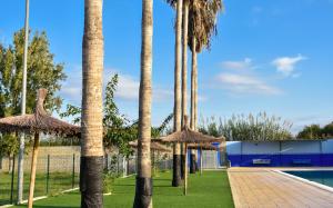 Riola的住宿－Casa del riu.，一组棕榈树,位于游泳池旁