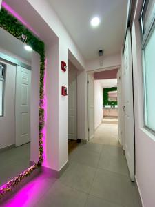 Imagen de la galería de Casa Pandora Hostel Women Only, en San José