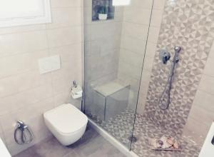 a bathroom with a shower with a toilet and a glass door at Studio Mimika in Perissa +22 photos