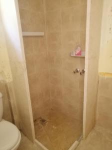 un bagno con doccia e WC di Dana star a Dana