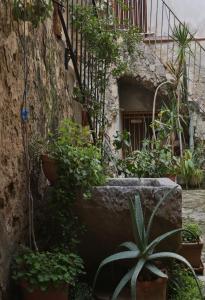a garden with plants and a staircase in a building at Terrazza del Cortile - by Vacation Service in Cefalù