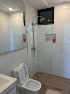 uma casa de banho com um WC e uma cabina de duche em vidro. em Hermoso Apart @the Beach Punta Cana em Punta Cana