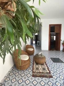 une chambre avec un sol avec des paniers et une plante dans l'établissement Hotel Boutique Iyarí, à Palmira
