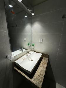 a bathroom with a sink and a large mirror at Freddy's Deluxe Family Apartments in Islamabad