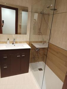 a bathroom with a shower and a sink at Centro-GASCONA con terraza, garaje y wifi gratuito in Oviedo
