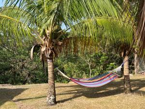 er hangt een hangmat tussen twee palmbomen bij Casa Naturaleza in Valle de Anton