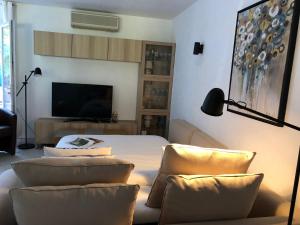 TV a/nebo společenská místnost v ubytování Villa climatisée, jardin, proche du Lac de St Cassien, Grasse, Fréjus, Cannes