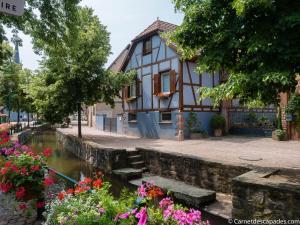 una casa junto a un canal con flores en Gîte du Brocanteur, en Scherwiller