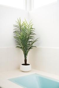 a plant in a white bathroom with a tub at LA Huge Mid Century Guesthouse Patio LAX Beach in Los Angeles