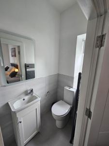 a bathroom with a toilet and a sink and a mirror at Number33 in Galway