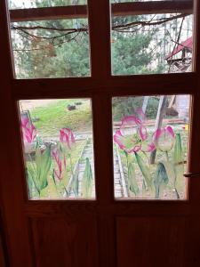 Afbeelding uit fotogalerij van JAGODA in Popovača +7 foto's