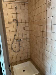 a bathroom with a shower with a toilet in it at Gite le Saint André in Villers-sur-Port