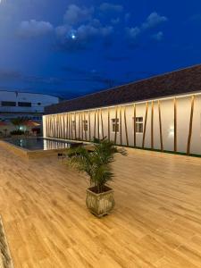 德爾米魯戈韋亞的住宿－Premium Hotel，建筑物屋顶上的一个锅里的植物