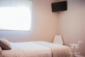1 dormitorio con 1 cama y TV en la pared en HOSTAL ENTREOLIVOS en Badajoz