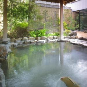 a pool of water in a yard with rocks at Ryokan Yukeikohan Suitenkaku in Matsue