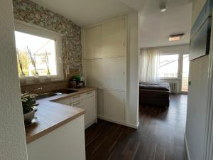 A cozinha ou cozinha compacta de Höri Nest Seeblick Appartement alt