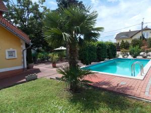 巴拉頓菲賴德的住宿－Éden Villa Apartmanház，游泳池旁的棕榈树