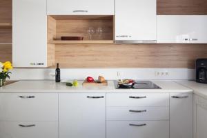 Kuchyň nebo kuchyňský kout v ubytování Apartments Vista