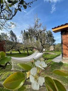 Casa de campo con piscina y bbq